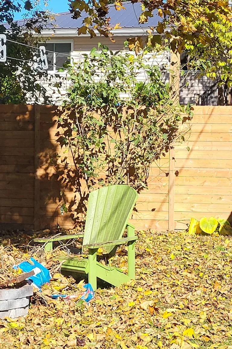 Wooden privacy fence in backyard - Fence Installation and Fence Repair Havelock by Renossance